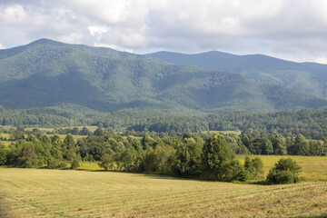 Naklejka premium Scenic Smoky Mountains