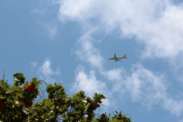 Plane in  the sky taken from below