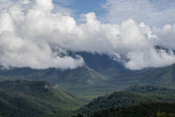 Smoky Mountain Scenes