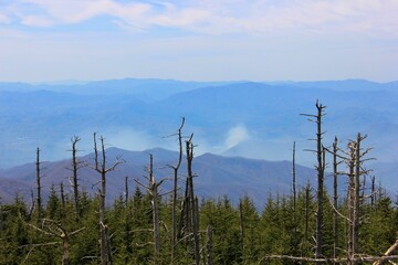 Smoky Mountain Strolls