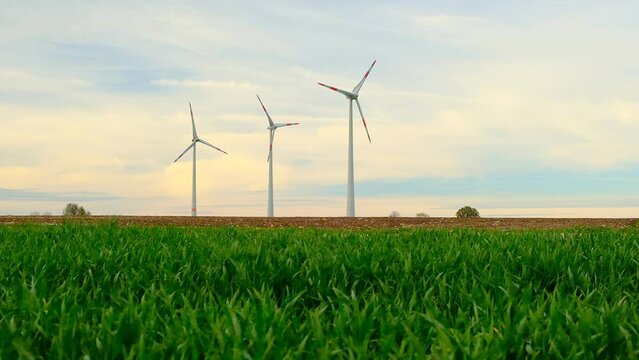 Wind generators.Green energy.Consumption of natural energy. Wind energy. Renewable energy source. 4k footage