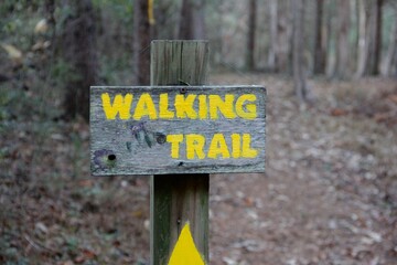 East Tennessee Scenes