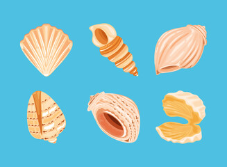 set of shells