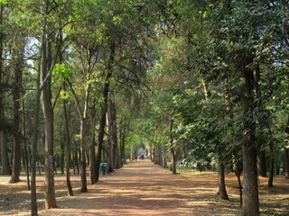 Viveros de Coyoacan, park in Mexico city