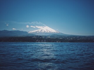 mountain and blossom