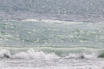 Fototapeta premium 砂浜に押し寄せる波