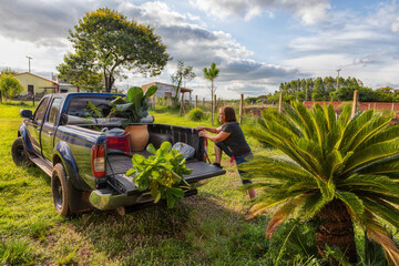 A woman unloads her pick-up truck with plants from the nursery in Paraguay.