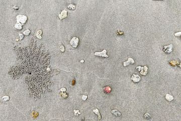 Fototapeta na wymiar Closeup Sand Texture On the beach