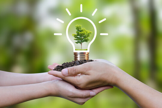 Two people holding light bulb with tree on green background. Demonstrates energy savings and turns to solar and natural energy. Saving energy is helping both ourselves and the planet.