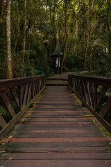 Fototapeta premium Parque Tanguá, Curitiba, Paraná