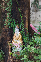 Sculpture of Quanyin, the chinese goddess of mercy, in side a tree