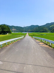 日本の田舎と一本道