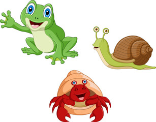 Cute three animal cartoon collection
