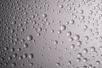 Drops of water on a transparent gray background.