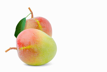 Mango with poles and leaves green, red of mango cultivar R2E2. isolated on white background.