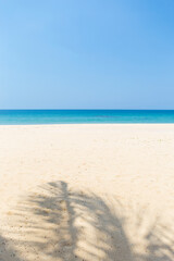 Fototapeta na wymiar Sandy beach on tropical island, summer outdoor day light, vertical style