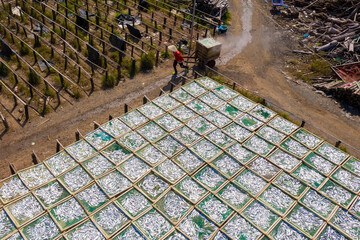 The process of drying anchovies to make Phu Quoc fish sauce