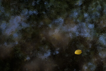 油絵の様な水面の映り込みと黄色い落ち葉