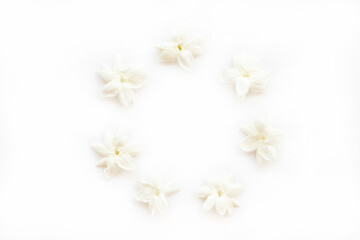 Obraz premium white flowers jasmine local flora of asia arrangement flat lay circle postcard style on background white 