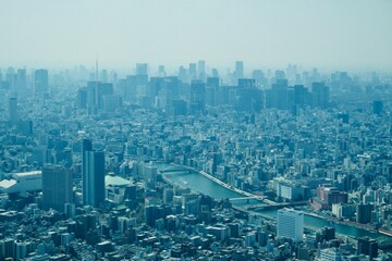 Naklejka na ściany i meble Taking in Tokyo