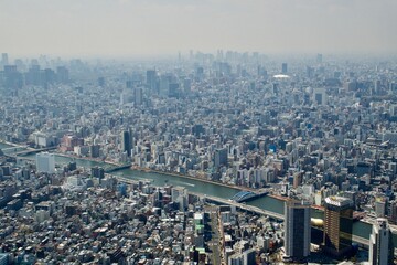 Fototapeta premium Taking in Tokyo