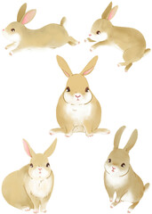 手描きのウサギのイラストセット／Hand drawn rabbit illustration set
