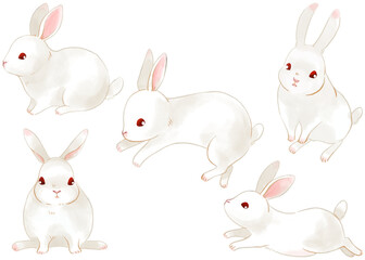 手描きのウサギのイラストセット／Hand drawn rabbit illustration set