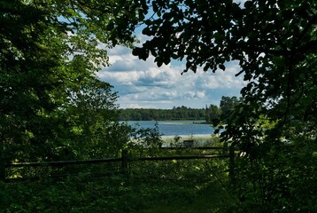 lake and trees