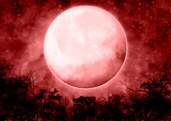 Fototapeta na wymiar 森の上に浮かぶ大きな満月 赤