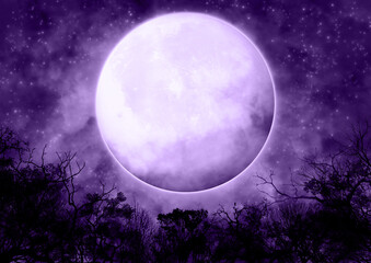 Fototapeta na wymiar 森の上に浮かぶ大きな満月 紫