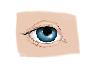 Sketch of a blue eye of the person