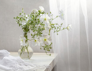 Bouquet of white petunias in a transparent vase on a table by the window