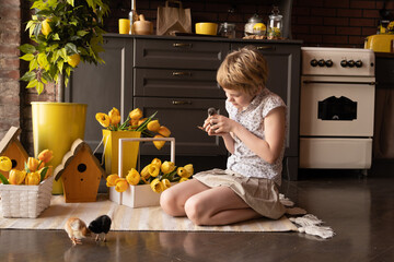 The child carefully examines the little chick. easter. The girl is sitting on the warm floor in the...