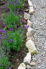 Garden Edging Stone. Garden path border made of white limestone. Garden area separating.