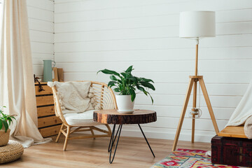 Rattan armchair and floor lamp in living room interior with plants. Cozy interior in boho style. Real photo