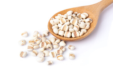 Closeup Job's tears (Adlay millet or pearl millet) in wooden spoon isolated on white background, 