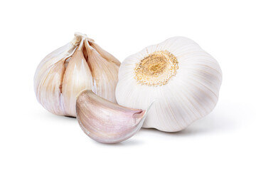 Garlic clove and bulb isolated on white background.