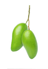 Mango fruit on white background