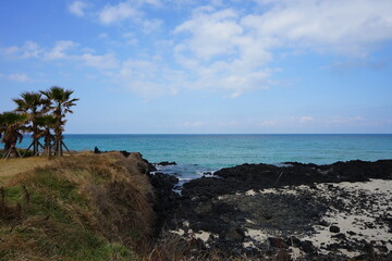 wonderful seascape and woman