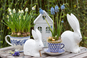 Osterdekoration mit Osterhasen und Traubenhyazinthen in Porzellantassen