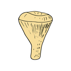 chanterelle mushroom hand drawn in doodle style. icon, card, poster, vector, monochrome. nature, food, ingredient.