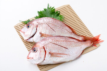 ザルに並べられた鯛　sea ​​bream