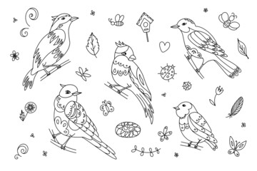 5 patterned birds. Zentangle page for coloring book Vector monochrome illustration of exotic birds in the style of zentangle, doodle.