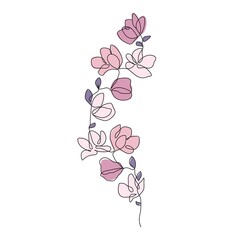 Magnolia Flowers. Botanical Line Art Vector Illustration for Prints, Social Media, Icons. Floral Trendy Template Minimalist Style. Pink Flowers Abstract Branch Line Art Hand Drawn Doodle Template.