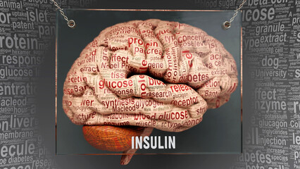 Insulin in human brain - dozens of important terms describing Insulin properties and features painted over the brain cortex to symbolize Insulin connection with the mind., 3d illustration