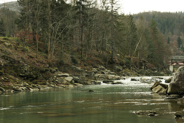 River in the Carpathian mountains in autumn