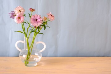 ラナンキュラスラックス