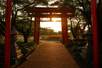 夕暮れ時の伯耆稲荷神社の鳥居 