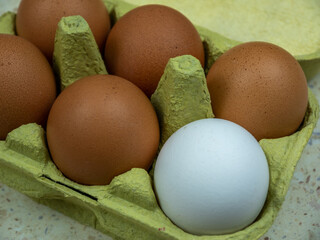 Chicken eggs in a cardboard box, top view. Selective focus.