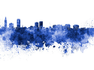 Baton Rouge skyline in blue watercolor on white background